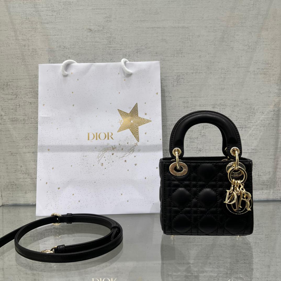 Lady Dior mini – JOOLEE Brands